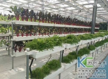 基質(zhì)栽培技術