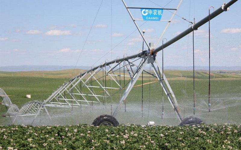 無(wú)土栽培，無(wú)土栽培技術(shù)，無(wú)土栽培設(shè)備