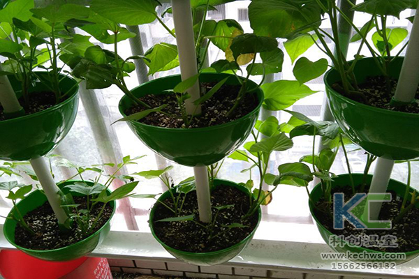 無土栽培，無土栽培技術，無土栽培設備