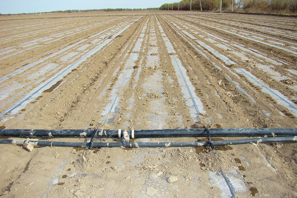 無土栽培，無土栽培技術，無土栽培設備
