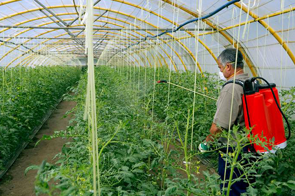 無土栽培，無土栽培技術，無土栽培設備