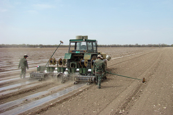 無土栽培，無土栽培技術，無土栽培設備