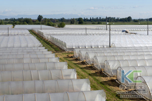 無土栽培，無土栽培技術，無土栽培設備