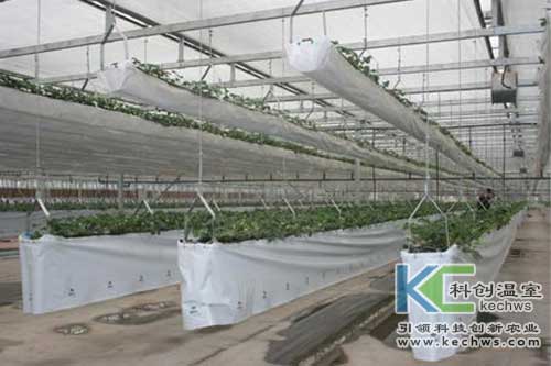 無土栽培，無土栽培技術，無土栽培設備