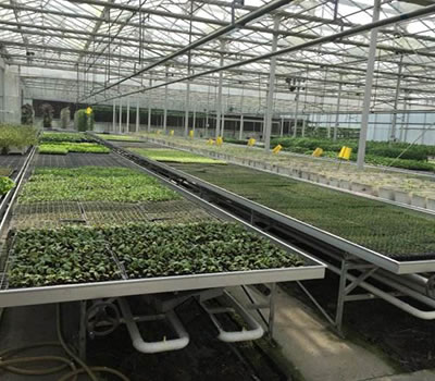 無土栽培，無土栽培技術，無土栽培設備