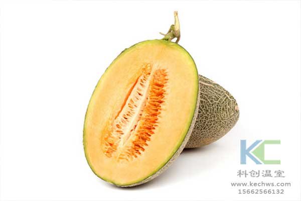 無土栽培，無土栽培技術，無土栽培設備