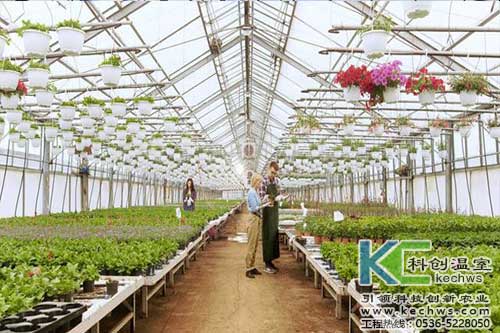 無土栽培，無土栽培技術，無土栽培設備