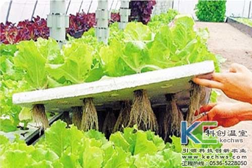 無土栽培，無土栽培技術，無土栽培設備