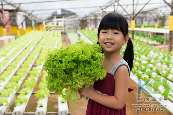 無土栽培，無土栽培技術(shù)，無土栽培設(shè)備