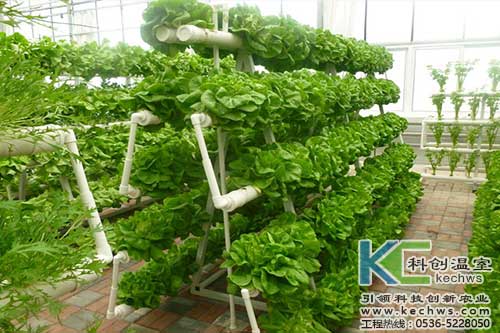 無土栽培，無土栽培技術，無土栽培設備
