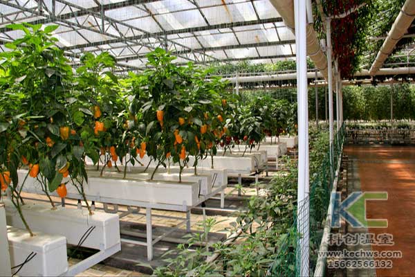 無(wú)土栽培，無(wú)土栽培技術(shù)