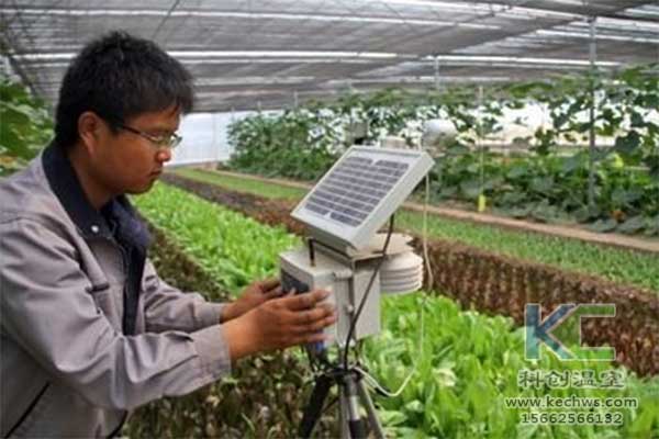 無土栽培，無土栽培技術，無土栽培設備
