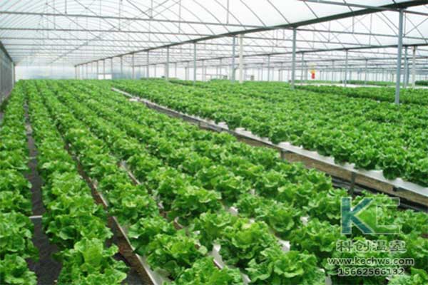 無土栽培，無土栽培技術(shù)，無土栽培設(shè)備