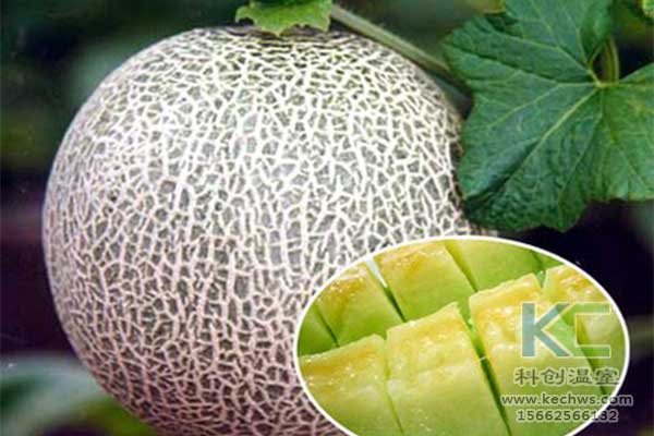 無(wú)土栽培，無(wú)土栽培技術(shù)，無(wú)土栽培設(shè)備