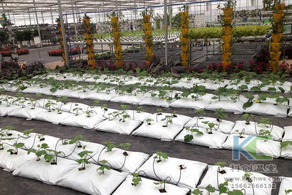 無(wú)土栽培，無(wú)土栽培技術(shù)，無(wú)土栽培設(shè)備