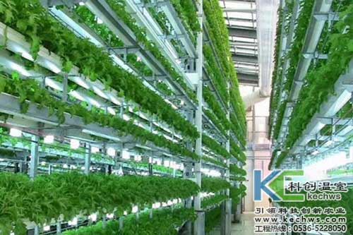 無土栽培，無土栽培技術(shù)，無土栽培設(shè)備