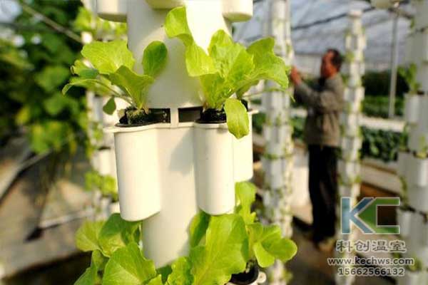 無土栽培，無土栽培技術，無土栽培設備