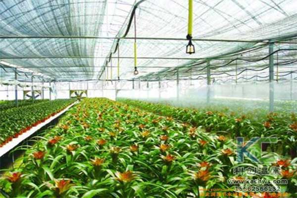 無土栽培，無土栽培技術，無土栽培設備