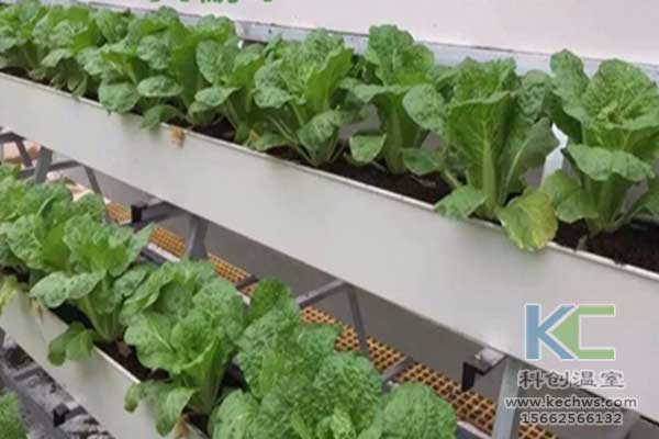 無土栽培，無土栽培技術，無土栽培設備