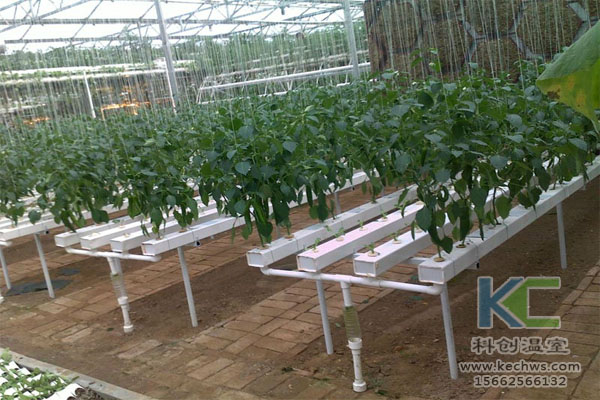 無土栽培，無土栽培技術，無土栽培設備