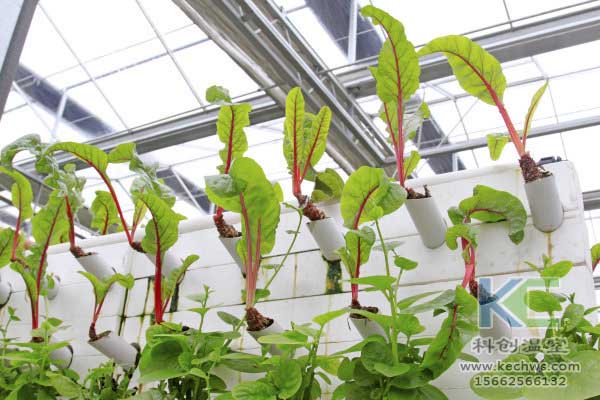 無土栽培，無土栽培技術(shù)，無土栽培設(shè)備