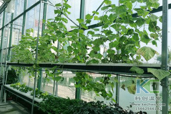基質(zhì)栽培，無土栽培技術(shù)，無土栽培設(shè)備，溫室大棚