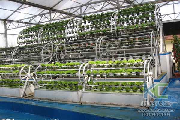 無土栽培技術，溫室大棚造價，蔬菜大棚，無土栽培