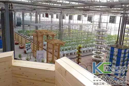 無土栽培，無土栽培案例