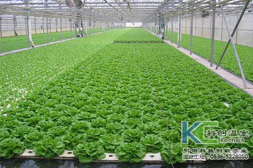 無(wú)土栽培,無(wú)土栽培技術(shù),成本