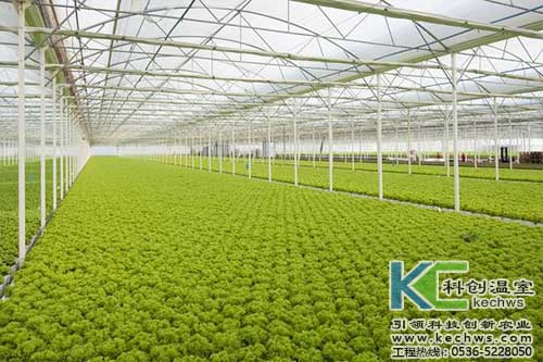 無土栽培，無土栽培技術(shù)，無土栽培設(shè)備