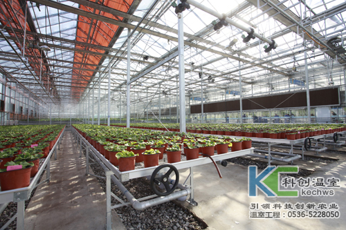 無土栽培，無土栽培技術，無土栽培設備