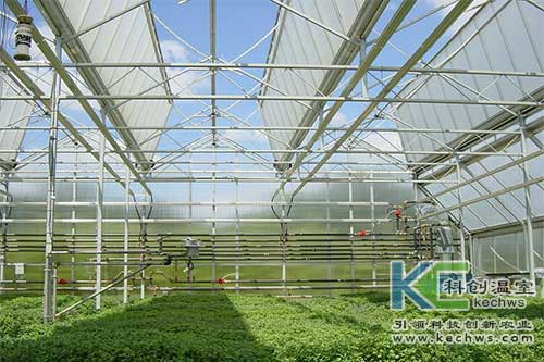 無土栽培，無土栽培技術，無土栽培設備