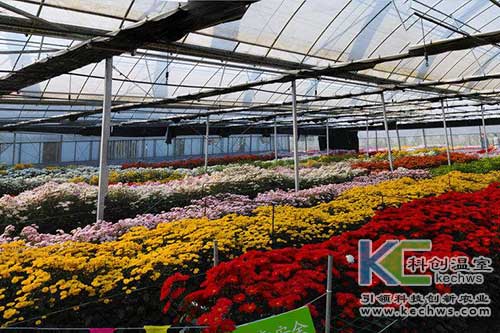 無土栽培，無土栽培技術，無土栽培設備