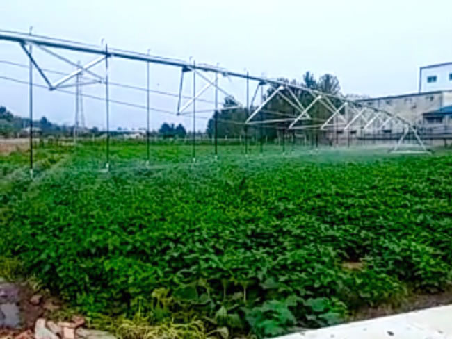 無土栽培，無土栽培技術(shù)，無土栽培設(shè)備