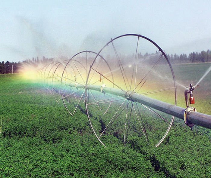 無(wú)土栽培，無(wú)土栽培技術(shù)，無(wú)土栽培設(shè)備