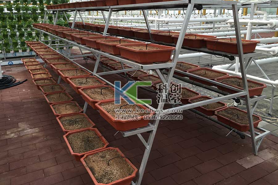 無土栽培，無土栽培技術，無土栽培設備