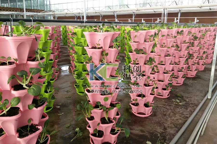 無土栽培，無土栽培技術(shù)，無土栽培設(shè)備