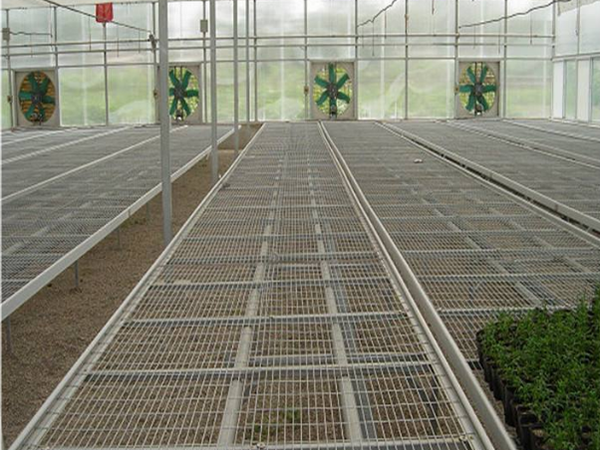 無土栽培，無土栽培技術(shù)，無土栽培設(shè)備