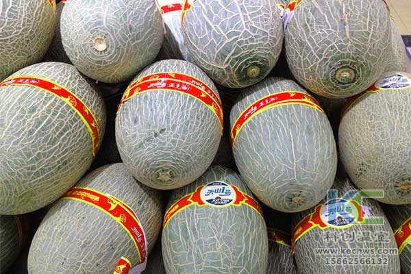 無土栽培，無土栽培技術(shù)，無土栽培設(shè)備