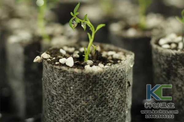 無土栽培，無土栽培技術，無土栽培設備