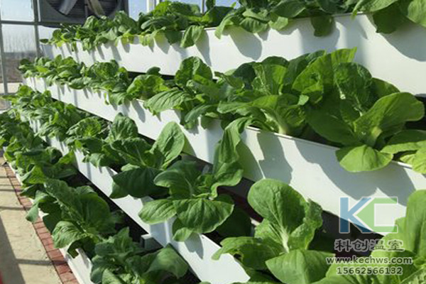 無土栽培，無土栽培技術(shù)，無土栽培設(shè)備