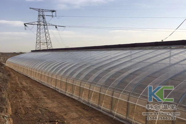 無土栽培，無土栽培技術，無土栽培設備