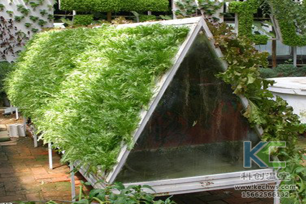 無土栽培,無土栽培技術,無土栽培設備