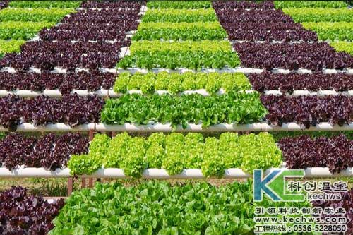 無土栽培，無土栽培技術(shù)，無土栽培設(shè)備