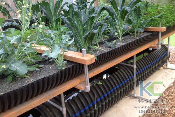 無土栽培，無土栽培技術，無土栽培設備