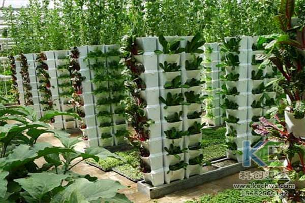 無土栽培，無土栽培技術，無土栽培設備