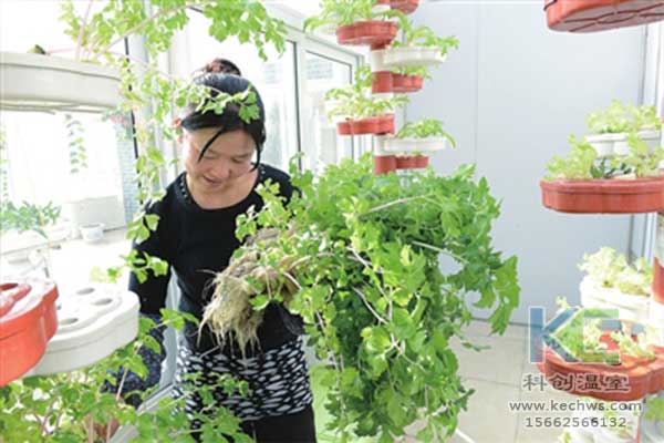 無土栽培，無土栽培技術(shù)，無土栽培設(shè)備