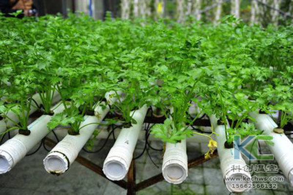 無土栽培，無土栽培技術，無土栽培設備