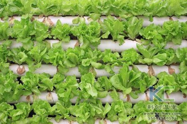 無土栽培，無土栽培技術，無土栽培設備