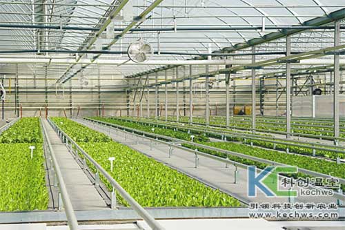 無土栽培，無土栽培技術，無土栽培設備